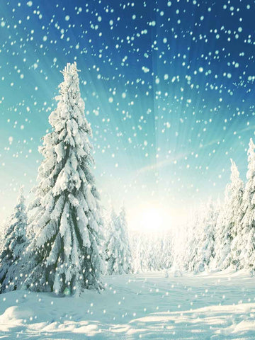 Season Background Winter Backdrops Snowy Background J01769-E