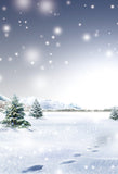 Season Background Winter Backdrop Snowy Backdrop Snowflake J02723