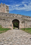 Old Stone Door Wall Photography Backdrop  J03113