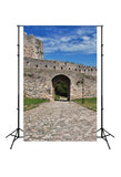 Old Stone Door Wall Photography Backdrop  J03113