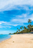 Summer Beach  Blue Ocean Sky Studio Backdrop J03151