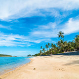 Summer Beach  Blue Ocean Sky Studio Backdrop J03151