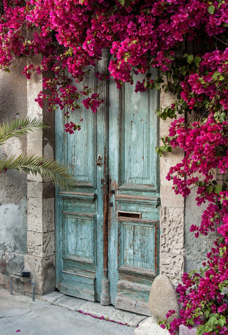 Green Wood Door Red Flowers for Portrait Photography J03155