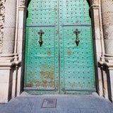 Green Rusty Iron Door Backdrop for Photo Studio J03160