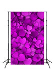 Romantic Valentines Day Love Heart Photography Backdrop J03232