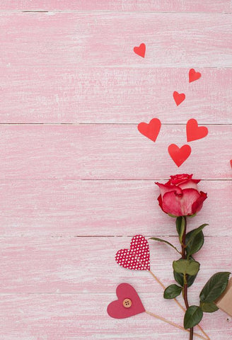 Red Rose Love Heart Backdrop for Valentine's Day Photography J03234