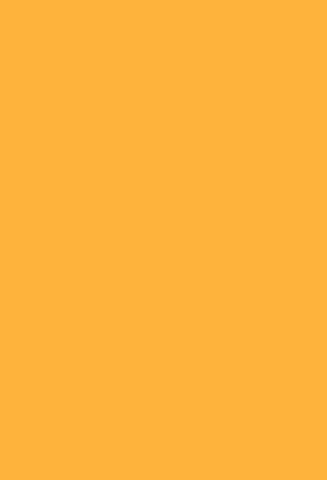 Yellow Solid Photography Photo Backdrops J03771
