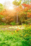 Beautiful Flowers Green Park Backdrops for Photography J05486