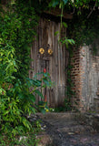 Grunge Wooden Door Brick Wall Backdrop for Studio J05488