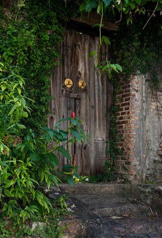 Grunge Wooden Door Brick Wall Backdrop for Studio J05488