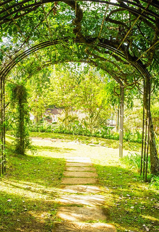 Telón de Fondo para Estudio Fotográfica de Puerta Arqueada Verde y Camino Natural J05492