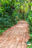 Garden Path Green Bushes Backdrops for Photography J05493