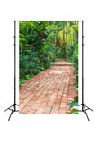 Garden Path Green Bushes Backdrops for Photography J05493