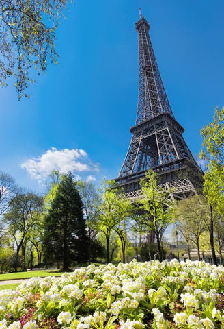 Paris Eiffel Tower Flowers Photo Studio Backdrop J05497