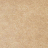 Telón de Fondo Arenoso Beige de Fotografía para Imagen de Textura Abstracta J08079