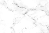 White Marble Natural Texture Photo Booth Backdrop M017