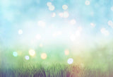 Blue Bokeh Style Green Grass Photography Backdrop M180