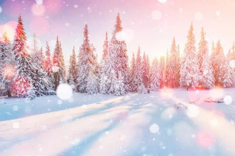 Snow Covered Trees Winter Mountain Sunshine Bokeh Backdrop