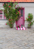 Pink Door Red Flowers Backdrop for Party Photography MR-2188