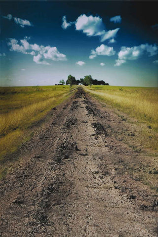 Backdrop by Theme  Skyline Backdrop Nature Backgrounds