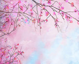 Spring Sky and Beautiful Flowers Plum Blossom Backdrop for Photo Studio NB-055