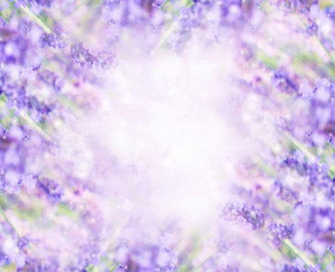 Purple Lavender Blurry Floral Backdrop for Photography NB-069