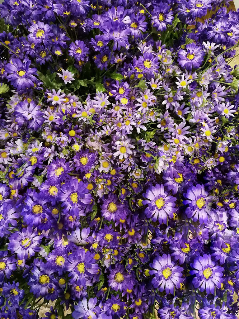 Purple Flower Background Valentine's Day Backdrops IBD-19273