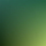 Abstract Green Black Gradient Texture Portrait  Backdrop