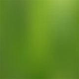 Green Shade Abstract Gradient Texture Photography Backdro