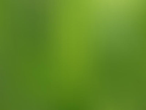 Green Shade Abstract Gradient Texture Photography Backdro