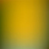 Abstract Green Yellow Gradient  Backdrop for Photography