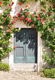 Blue Door Spring Flower Photography Backdrops S-3037