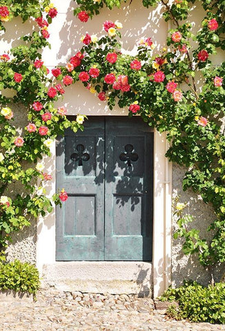 Blue Door Spring Flower Photography Backdrops S-3037