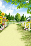 Happy Farm Sunflower Garden View Photography Backdrop S-3104