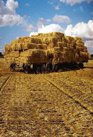 Straw Western Farm Photography Backdrop S-497