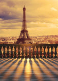 Sunset Paris Eiffel Tower City View Backdrop for Photo Booth S-716