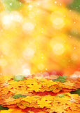 Yellow Maple Leaves Bokeh Photo Backdrop S-968