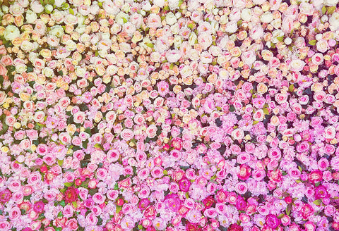 Fondo de Fotografía de Flores de Racimos de Rosas SH-1004