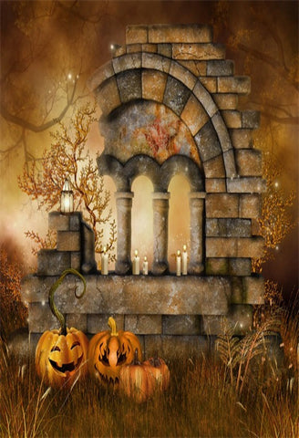 Halloween Pumpkins Meadow Photography Backdrop