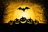 Lantern Pumpkins Night Moon Backdrop for Photography