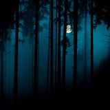 Magic Mystery Night Foggy Forest Halloween Backdrop