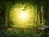 Magical Woodland  Light Green Photography Backdrop