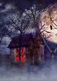 Halloween Scary Night Haunted House Backdrop for Photography