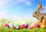 Colorful Easter Eggs Rabbit Spring  Green Grass Photo Backdrop SH002