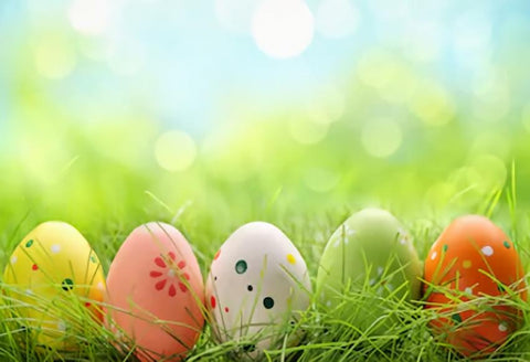 Easter Photography Backdrop Spring  Green Grass Bokeh Background SH025