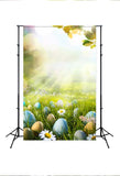 Happy Easter Day Spring Green Grass Easter Eggs Backdrop for Photography SH030