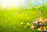 Easter Eggs  Green Grass  Photo  Studio Backdrop SH085