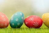 Easter Eggs Green Grass Backdrop for Photography SH107