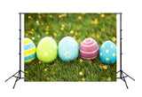 Happy Easter Day Green Grass Easter Eggs Backdrop for Photos SH112