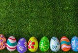 Colorful  Easter Eggs Green Grass Photography Backdrop SH122